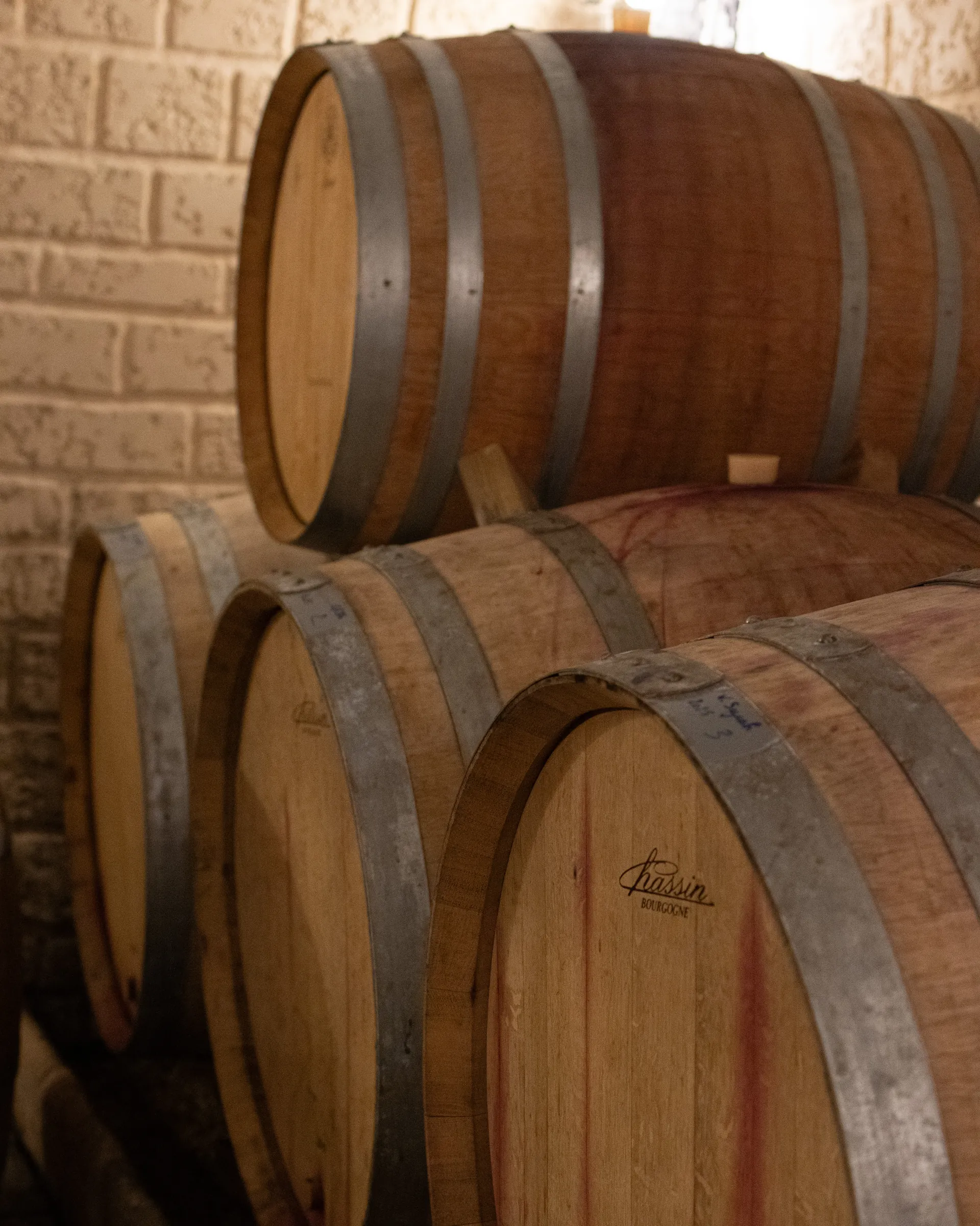 Barriques de chêne dans la cave du Mas Rouvier